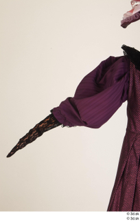  Photos Woman in Historical Dress 3 19th century Purple dress arm historical clothing sleeve 0003.jpg